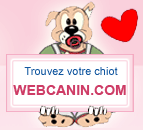 Webcanin